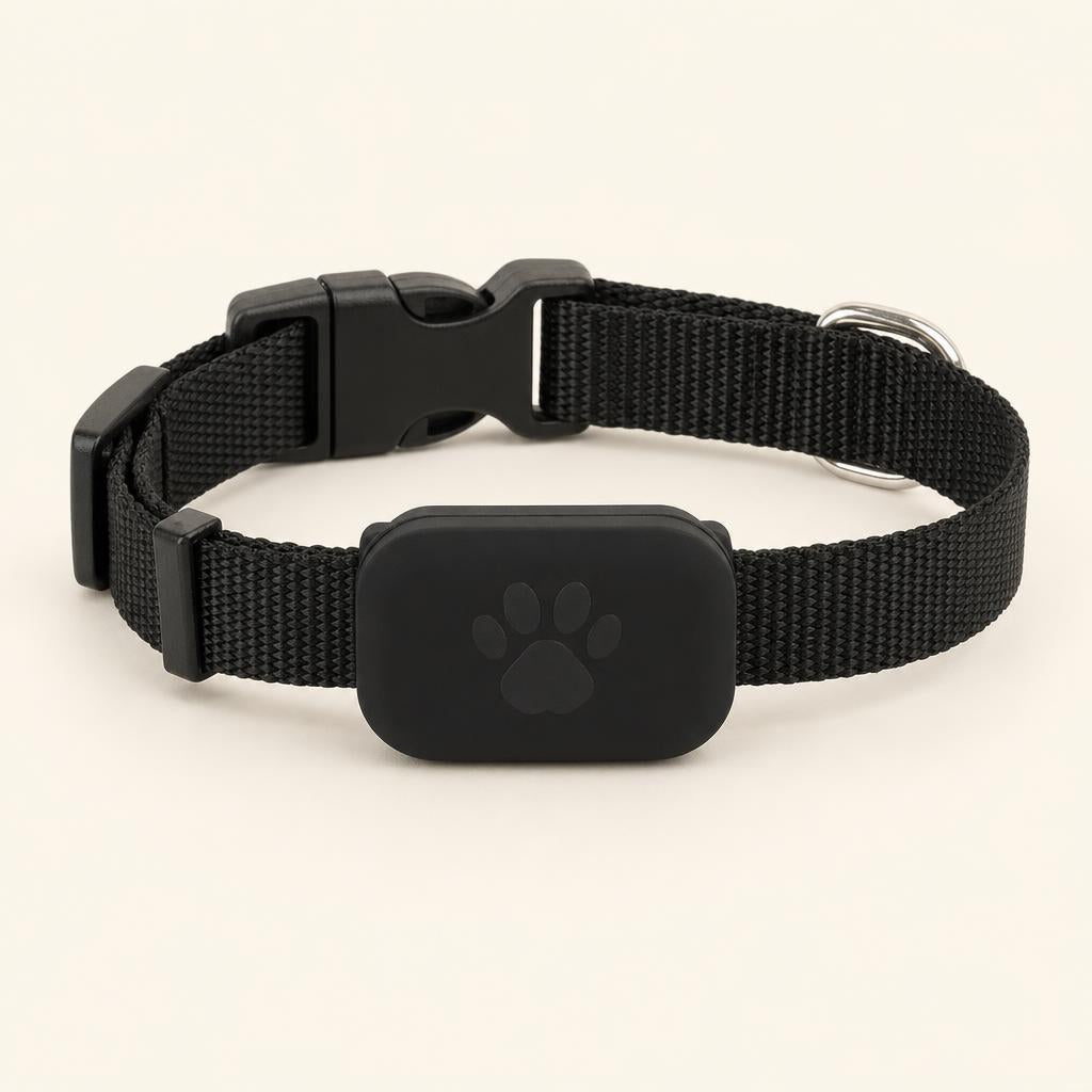 Collar localizador negro