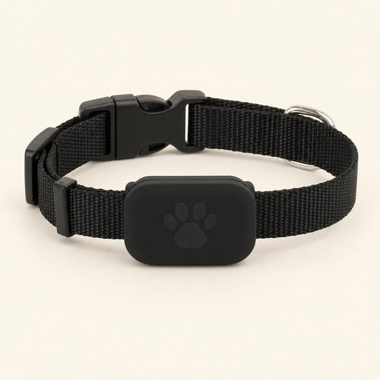 Collar localizador negro
